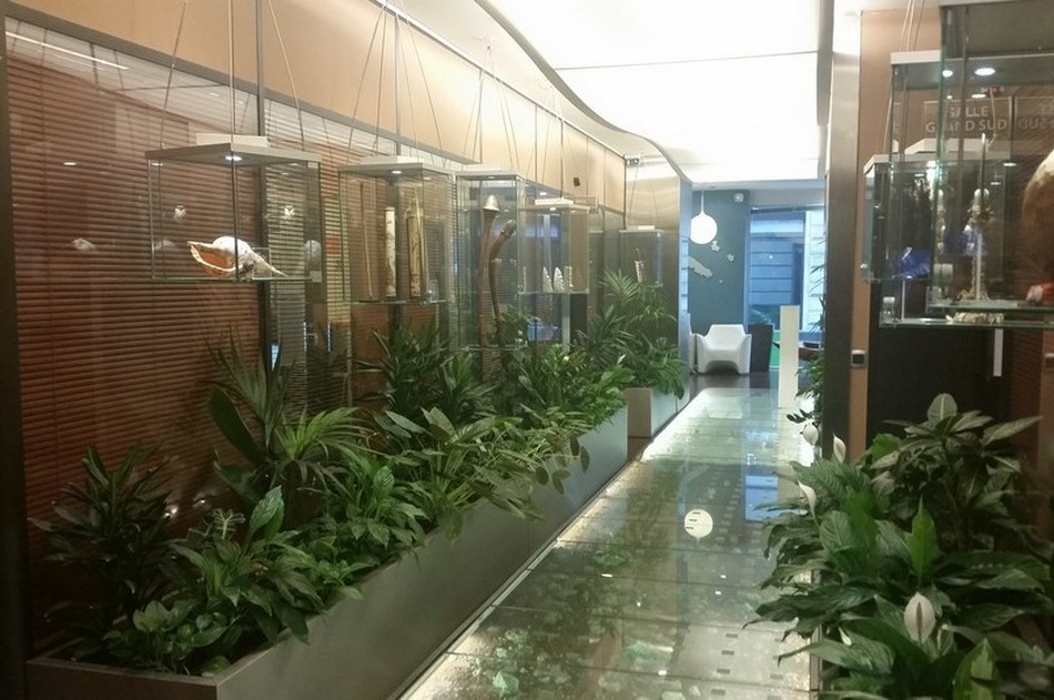 Club Le cagou - journée Océanienne 2017