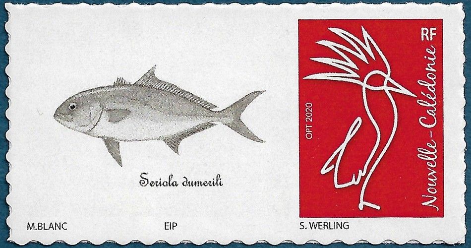 Club philatélique Le Cagou - TPP signé Blanc Club philatélique Le Cagou - TPP signé Blanc