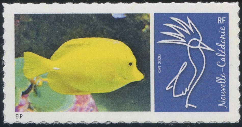 Club philatélique Le Cagou -  Timbre poisson chirurgien jaune