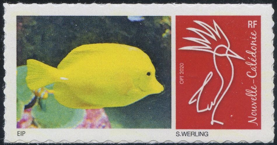 Club philatélique Le Cagou -  Timbre poisson chirurgien jaune