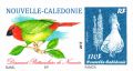 Maurice Bunel - Diamant Psittaculaire de Nouméa