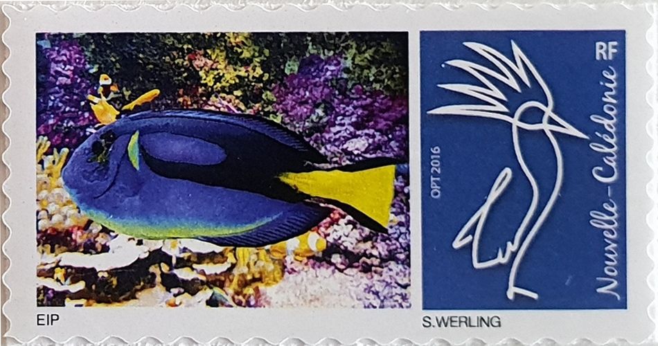 Club philat&eacute;lique Le Cagou -  kayak