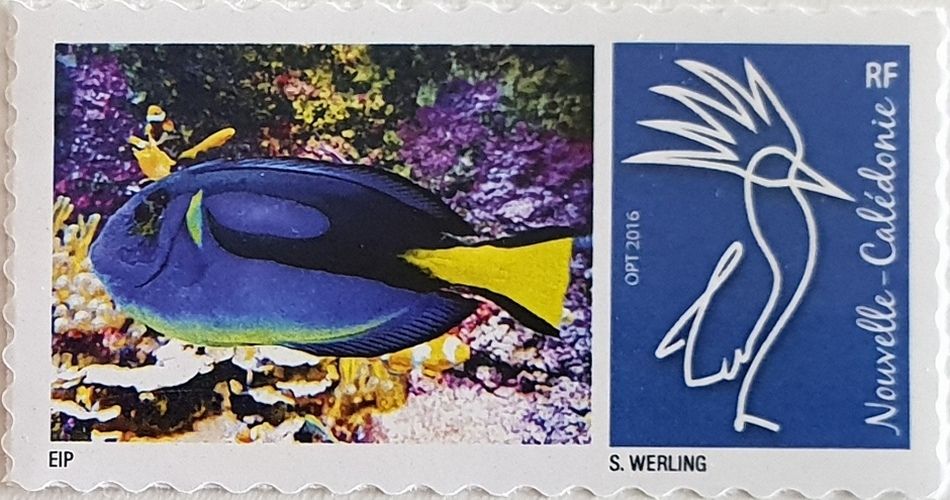 Club philat&eacute;lique Le Cagou -  kayak