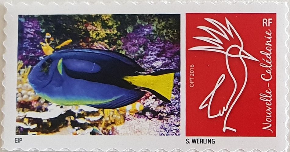 Club philat&eacute;lique Le Cagou -  kayak